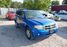 2011 FORD ESCAPE XLT