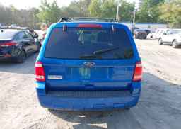 2011 FORD ESCAPE XLT