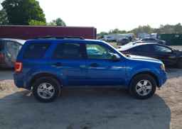2011 FORD ESCAPE XLT