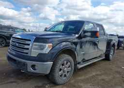 2014 FORD F150 SUPERCREW