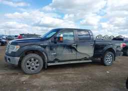 2014 FORD F150 SUPERCREW
