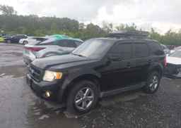 2009 FORD ESCAPE LIMITED
