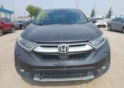 2019 HONDA CR-V EXL
