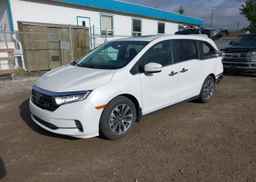2024 HONDA ODYSSEY EXL