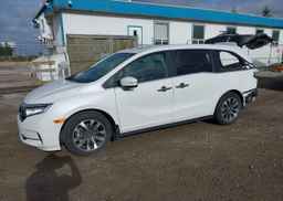 2024 HONDA ODYSSEY EXL
