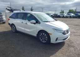 2024 HONDA ODYSSEY EXL