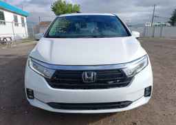 2024 HONDA ODYSSEY EXL