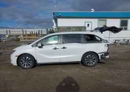 2024 HONDA ODYSSEY EXL