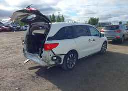2024 HONDA ODYSSEY EXL