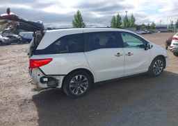 2024 HONDA ODYSSEY EXL