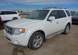 2010 FORD ESCAPE LIMITED