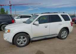 2010 FORD ESCAPE LIMITED