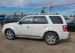 2010 FORD ESCAPE LIMITED