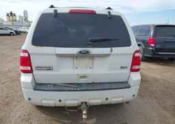 2010 FORD ESCAPE LIMITED