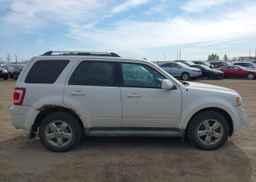 2010 FORD ESCAPE LIMITED
