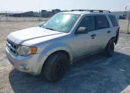 2012 FORD ESCAPE XLT