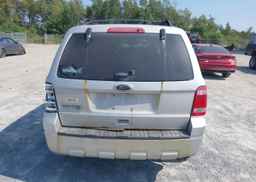 2012 FORD ESCAPE XLT