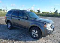 2012 FORD ESCAPE XLT