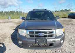 2012 FORD ESCAPE XLT