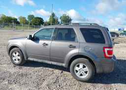 2012 FORD ESCAPE XLT