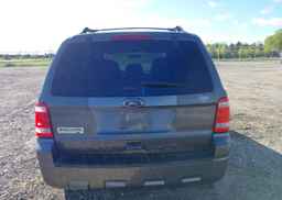 2012 FORD ESCAPE XLT