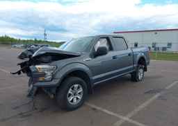 2017 FORD F-150 XLT
