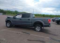 2017 FORD F-150 XLT