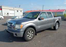 2014 FORD F150 SUPERCREW