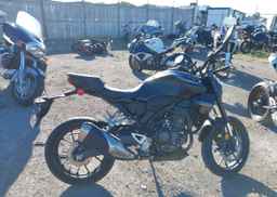 2024 HONDA CB300 RA