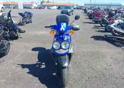 2009 YAMAHA YW50