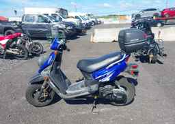 2009 YAMAHA YW50