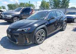 2019 LEXUS UX 250H