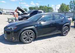 2019 LEXUS UX 250H