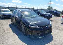 2019 LEXUS UX 250H
