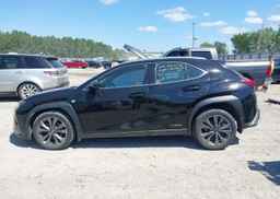 2019 LEXUS UX 250H
