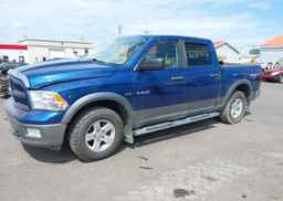 2010 DODGE RAM 1500