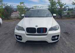 2010 BMW ACTIVEHYBRID X6