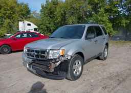2011 FORD ESCAPE XLT