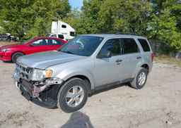 2011 FORD ESCAPE XLT