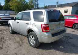 2011 FORD ESCAPE XLT
