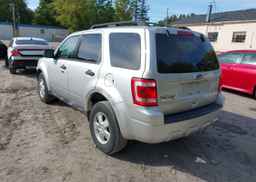 2011 FORD ESCAPE XLT
