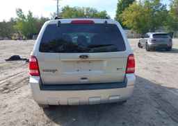 2011 FORD ESCAPE XLT