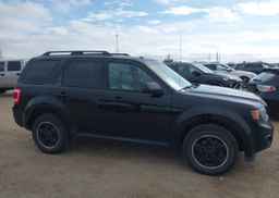2012 FORD ESCAPE XLT