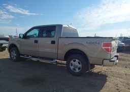 2010 FORD F150 SUPERCREW