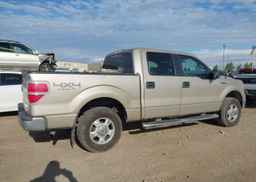 2010 FORD F150 SUPERCREW