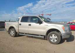 2010 FORD F150 SUPERCREW
