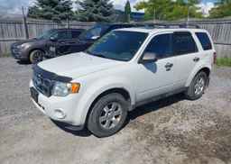 2012 FORD ESCAPE XLT