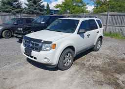 2012 FORD ESCAPE XLT