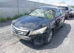 2011 HONDA ACCORD EXL