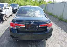 2011 HONDA ACCORD EXL